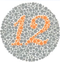 F�rgblind
