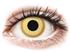 Colourvue Crazy Lens - Avatar - Utan Styrka