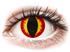 Colourvue Crazy Lens - Dragon Eyes - Endaglinser Utan Styrka
