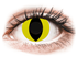Crazy Lens - Cat Eye Yellow - Endags Icke-dioptrisk