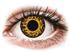 Crazy Lens - Cheetah - Endags Dioptrisk