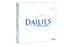 Focus Dailies