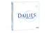 Focus Dailies
