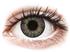 Freshlook Colorblends Grey - Utan Styrka