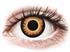 Orange Werewolf Plano Endagskontaktlinser - Colourvue Crazy