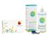 Proclear Toric