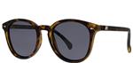 Le Specs Bandwagon-Matte Tortoise